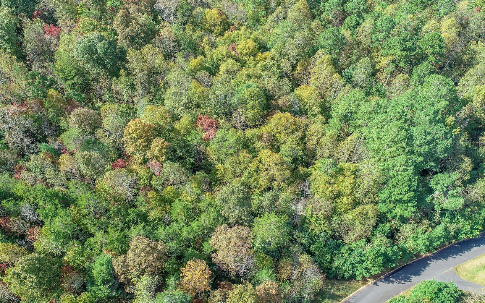 21 East Ridge Lane Ellijay, GA 30536 - Photo 7 of 17 Additional View