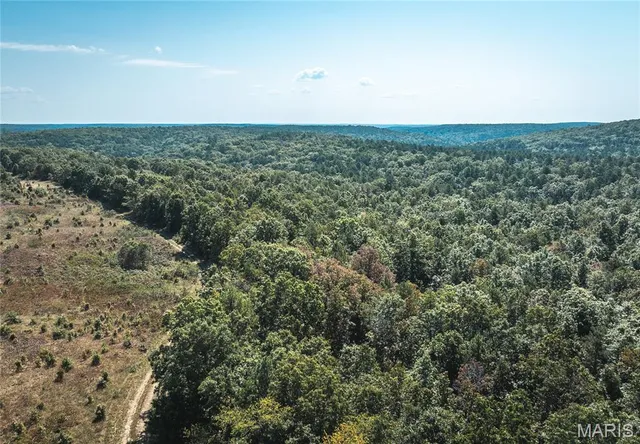 $94,500 | Tbd Slabtown Road, Plato, MO 65552