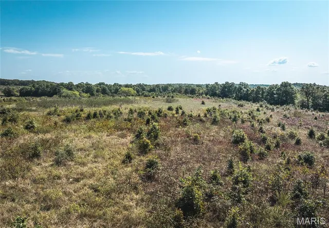 $94,500 | Tbd Slabtown Road, Plato, MO 65552