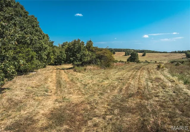 $94,500 | Tbd Slabtown Road, Plato, MO 65552