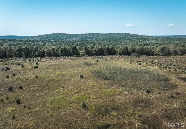 $94,500 | Tbd Slabtown Road, Plato, MO 65552