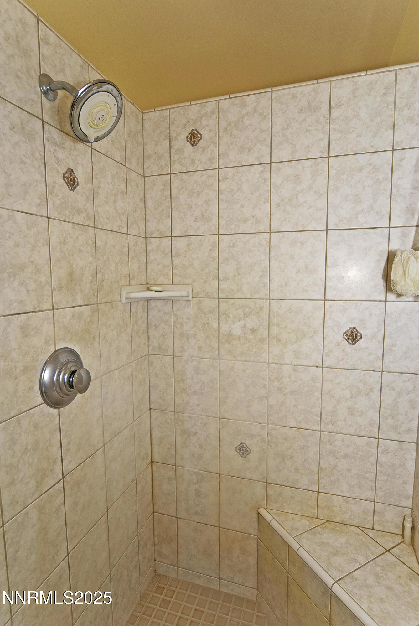 45 Lower Colony Road Wellington, NV 89444 - Photo 17 of 41 LC_New_19