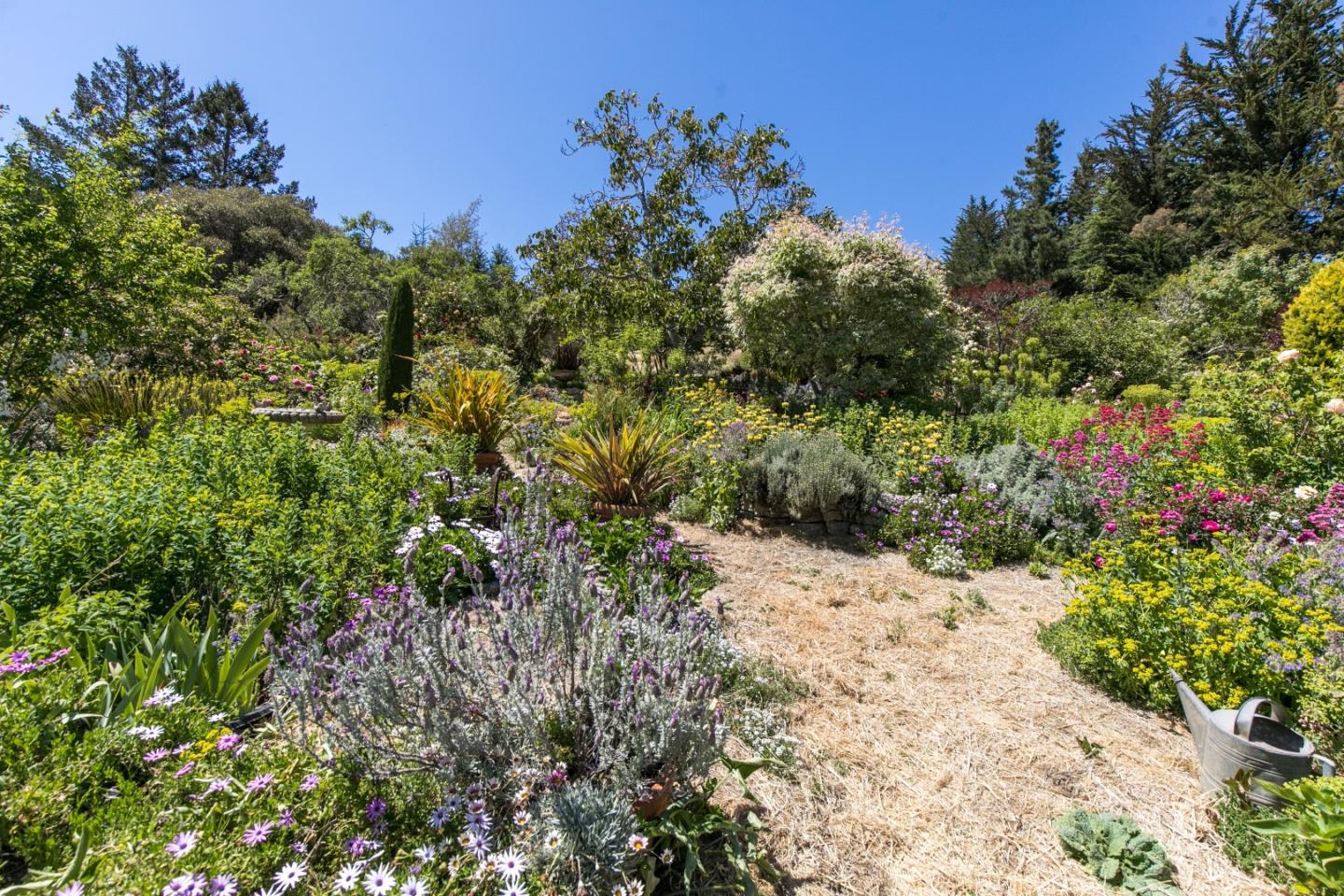 157 Happy Valley Road Santa Cruz, CA 95065 - Photo 35 of 45