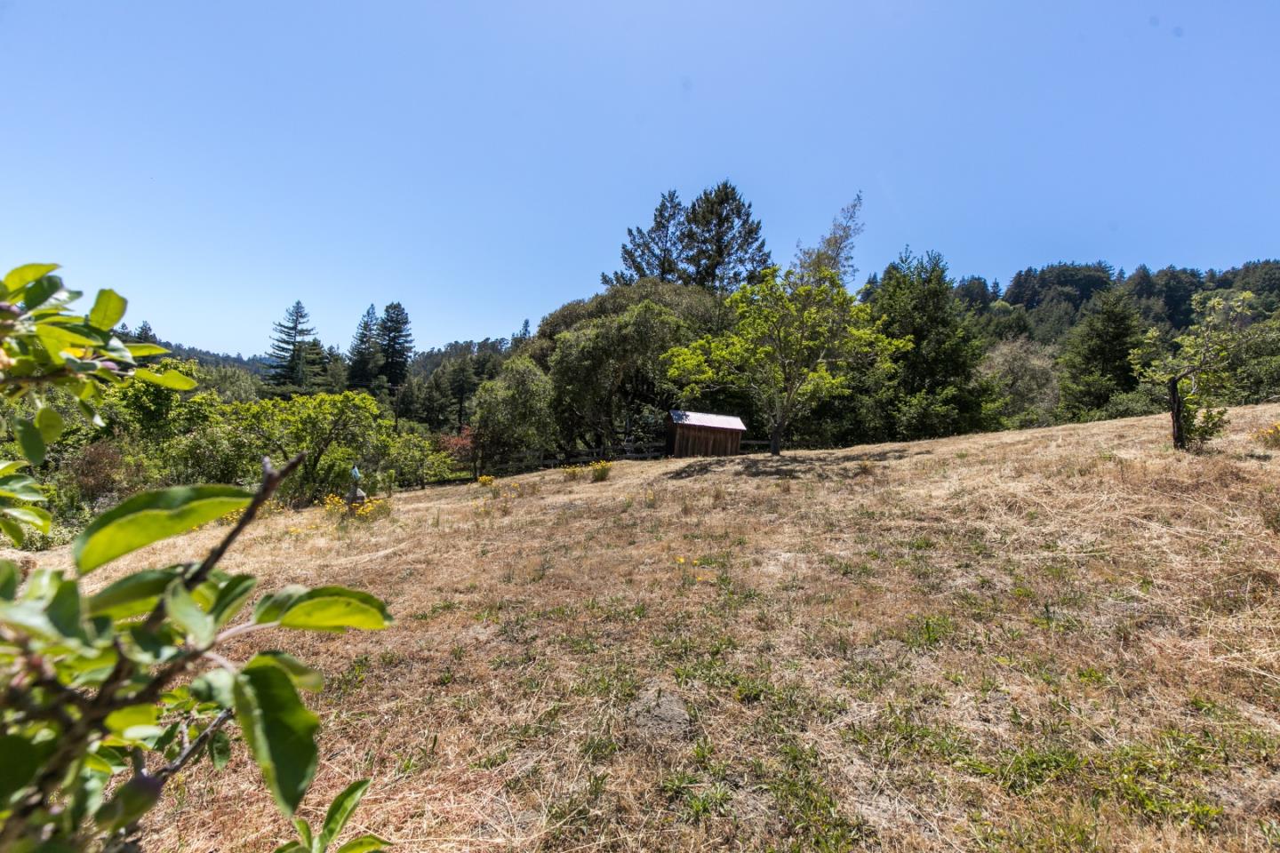 157 Happy Valley Road Santa Cruz, CA 95065 - Photo 37 of 45 a view of a yard
