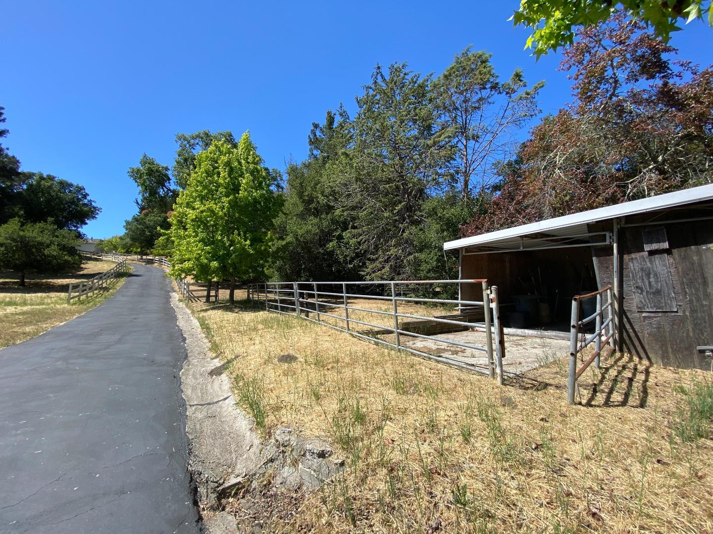 157 Happy Valley Road Santa Cruz, CA 95065 - Photo 39 of 45 a view of a backyard with chairs