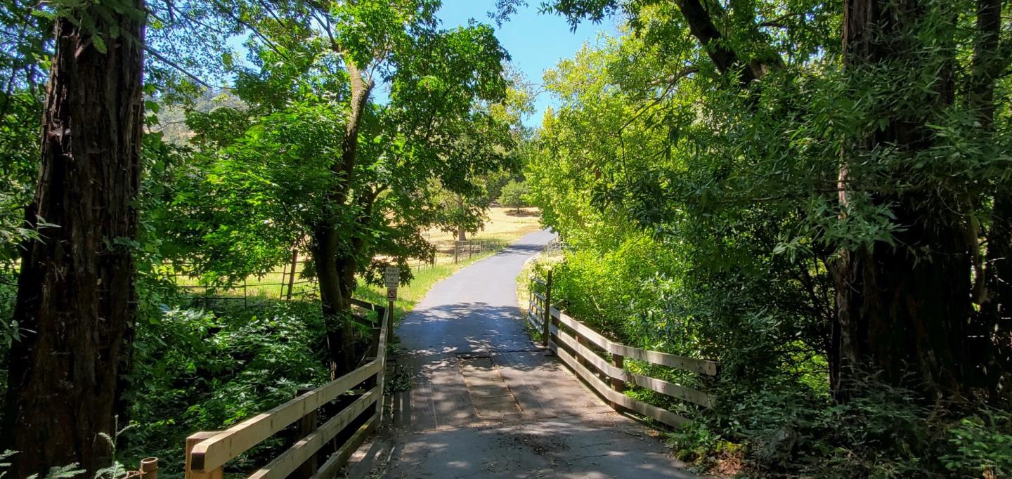 157 Happy Valley Road Santa Cruz, CA 95065 - Photo 44 of 45 a view of a yard with plants and a bench