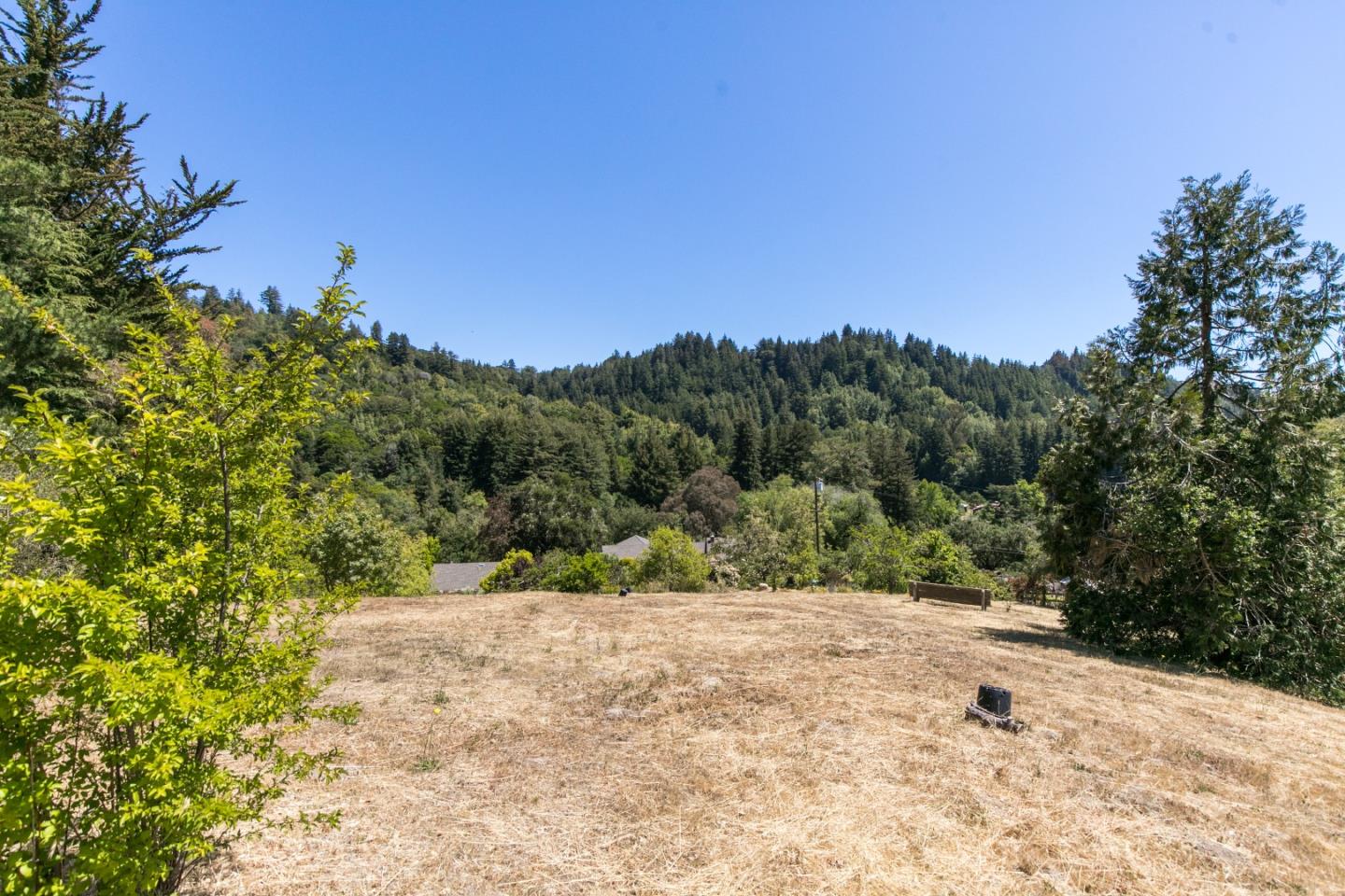157 Happy Valley Road Santa Cruz, CA 95065 - Photo 8 of 45 a view of a yard with a tree