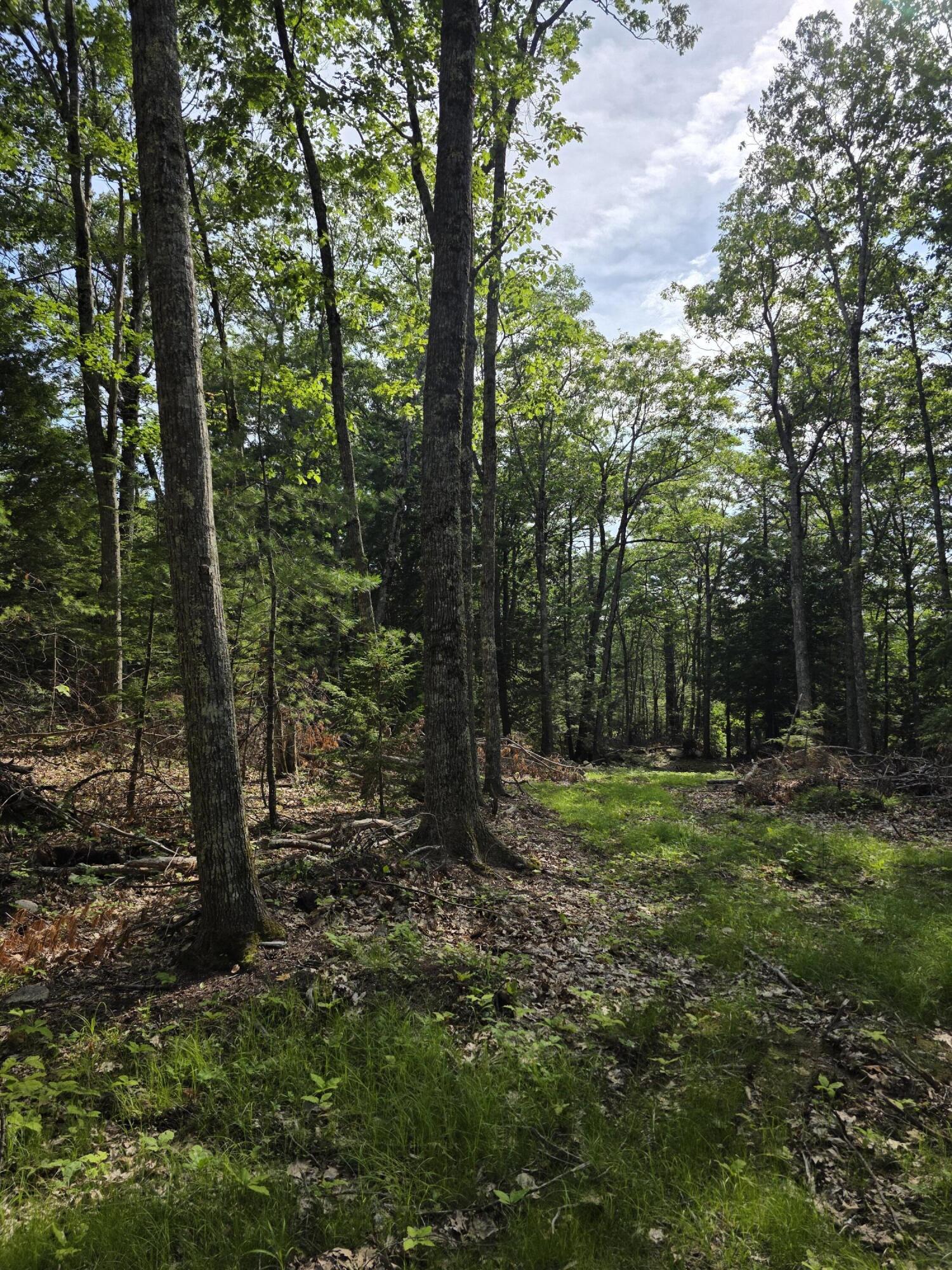 0 Pinnacle Road Liberty, ME 04949 - Photo 10 of 12