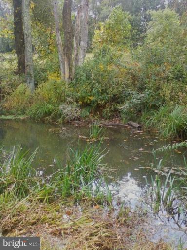 19930 Gunpowder Road Manchester, MD 21102 - Photo 27 of 30 a view of lake