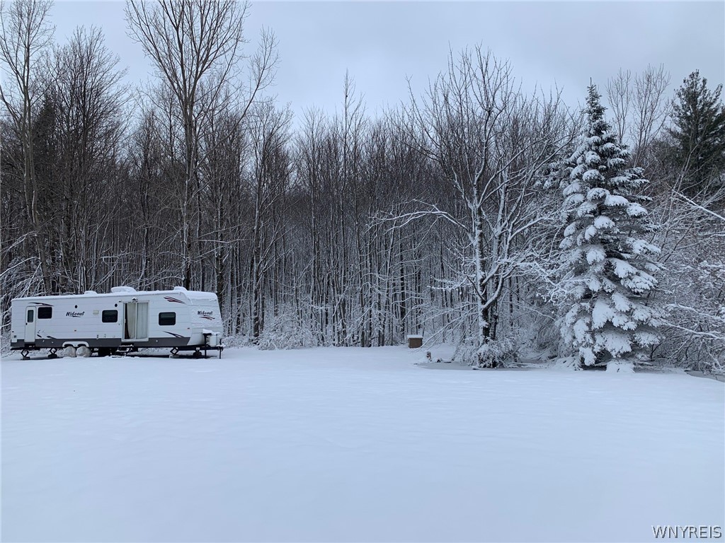 0 Phillips Road Holland, NY 14080 - Photo 12 of 14