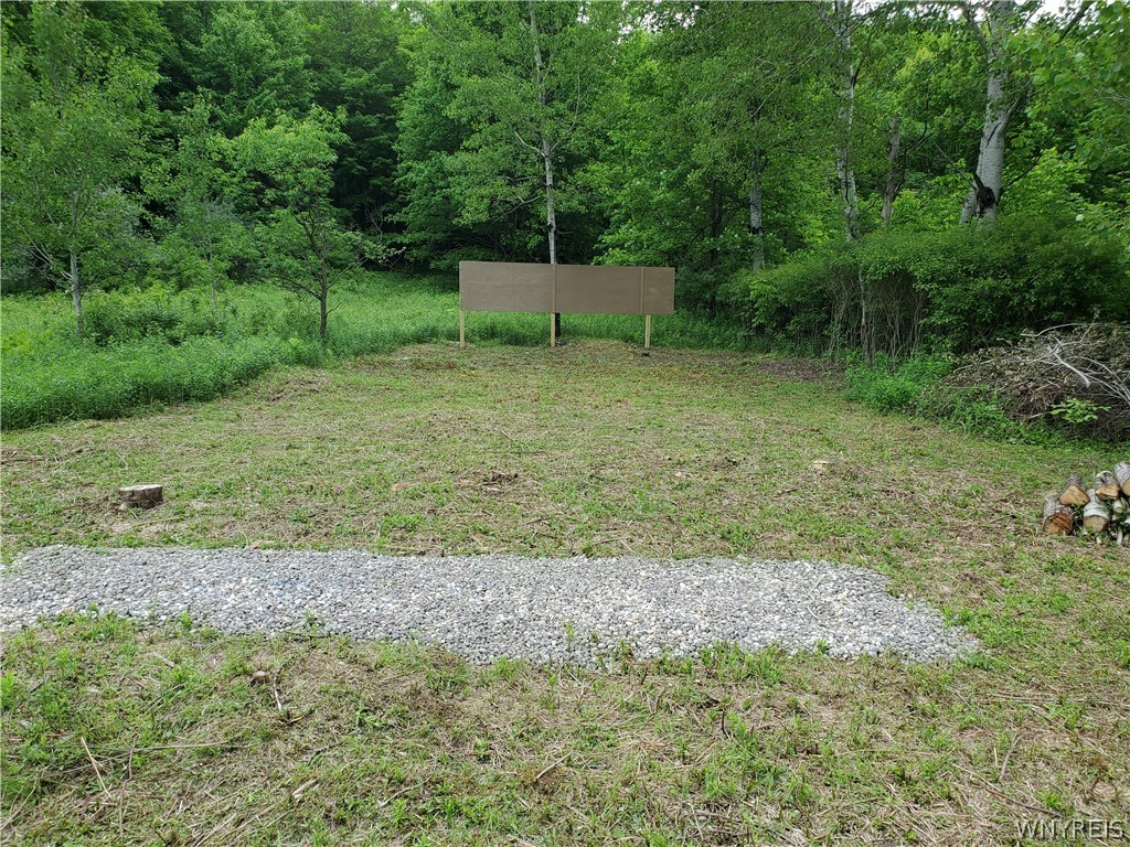 0 Phillips Road Holland, NY 14080 - Photo 4 of 14