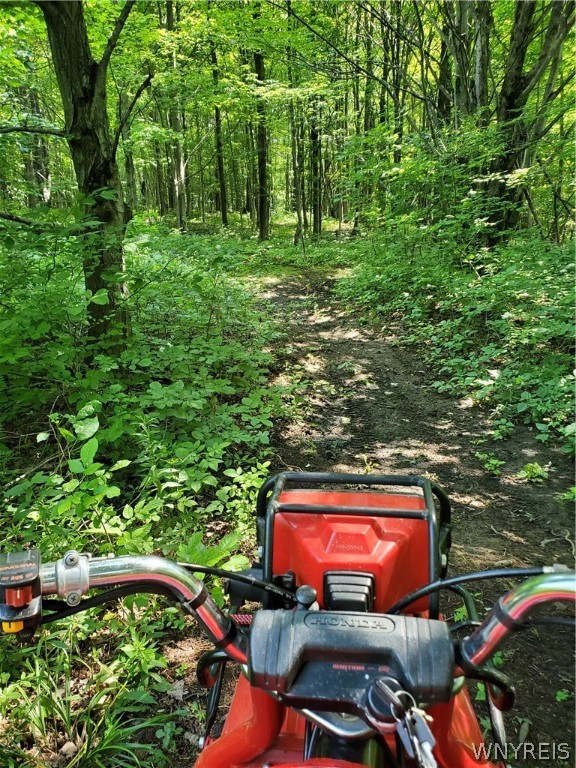 0 Phillips Road Holland, NY 14080 - Photo 5 of 14