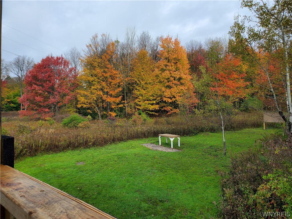 0 Phillips Road Holland, NY 14080 - Photo 7 of 14