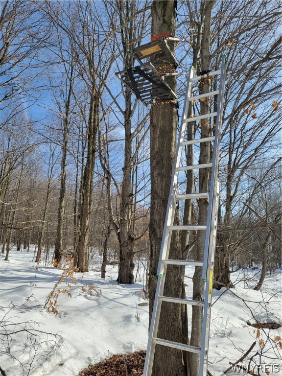 0 Phillips Road Holland, NY 14080 - Photo 10 of 14