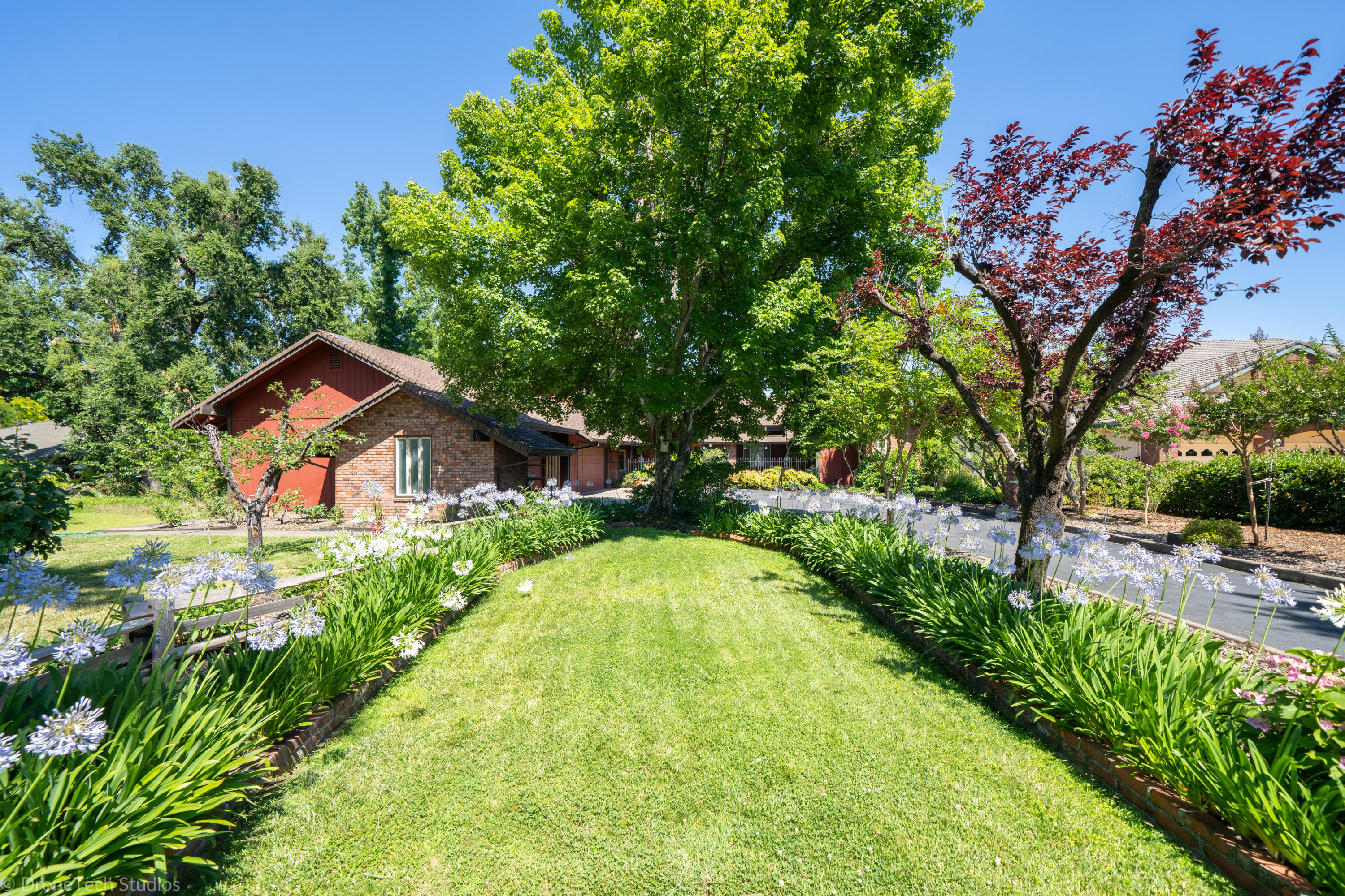 6251 Riverside Drive Redding, CA 96001 - Photo 11 of 61 FRONT YARD