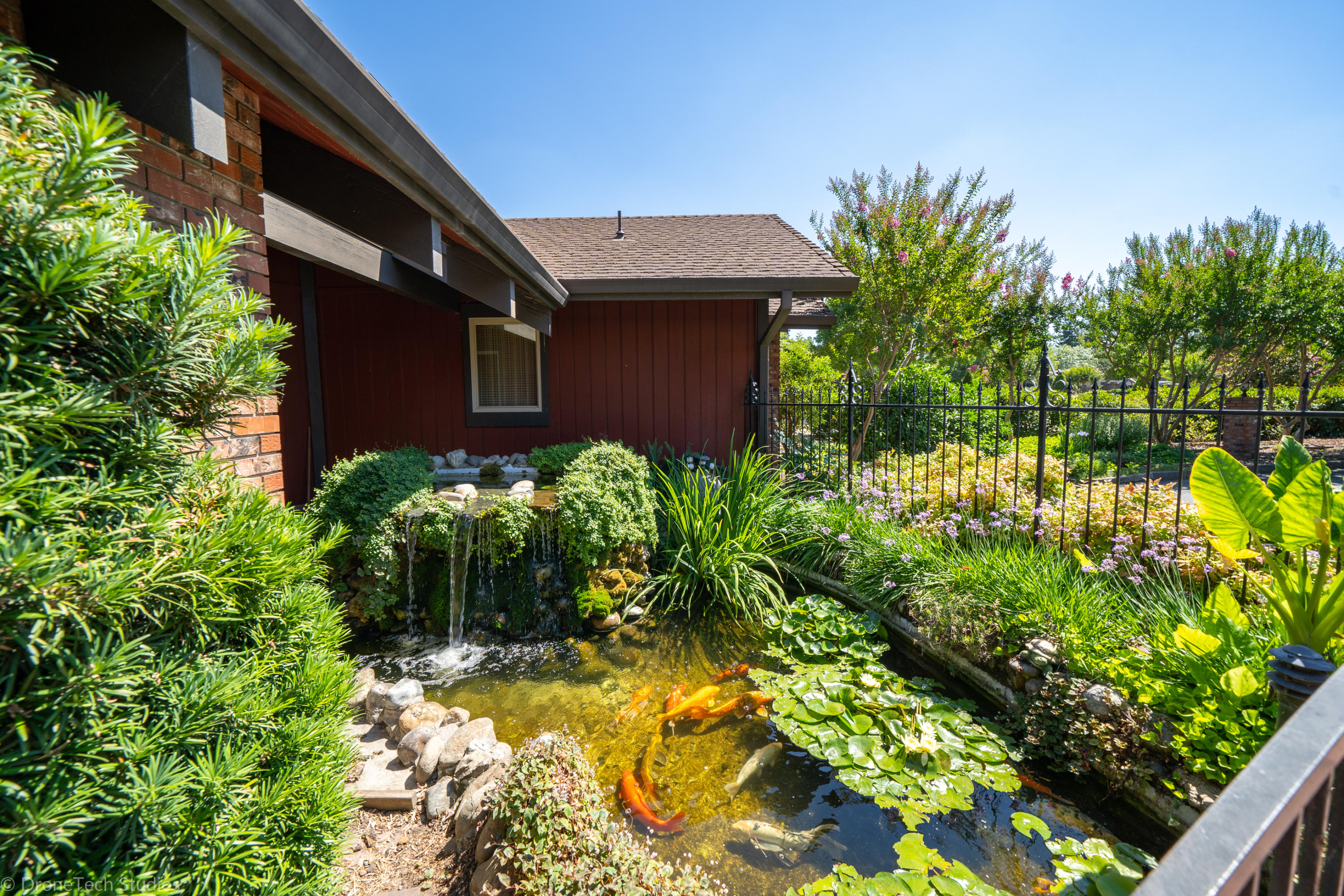 6251 Riverside Drive Redding, CA 96001 - Photo 13 of 61 KOI POND