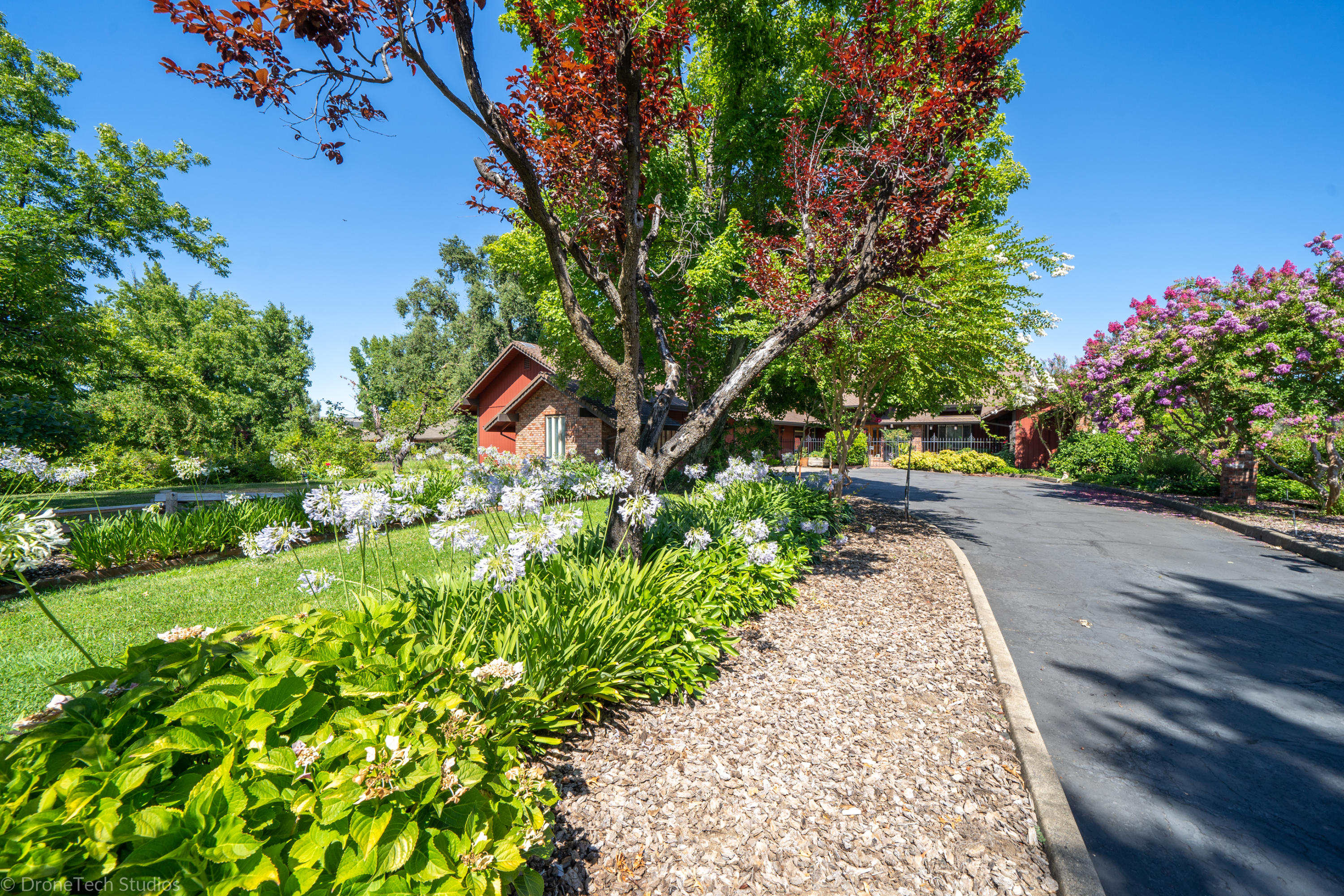 6251 Riverside Drive Redding, CA 96001 - Photo 7 of 61 DRIVEWAY