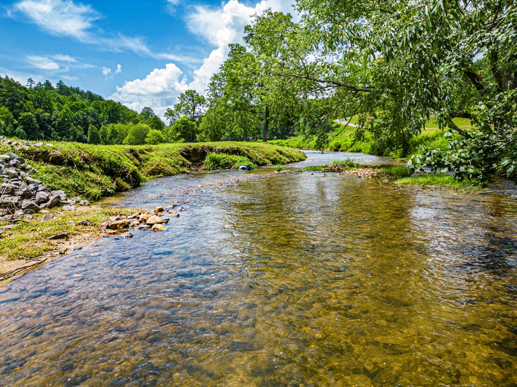 151 The Ridges Morganton, GA 30560 - Photo 32 of 35 Creek Runs Through Shared Community Area