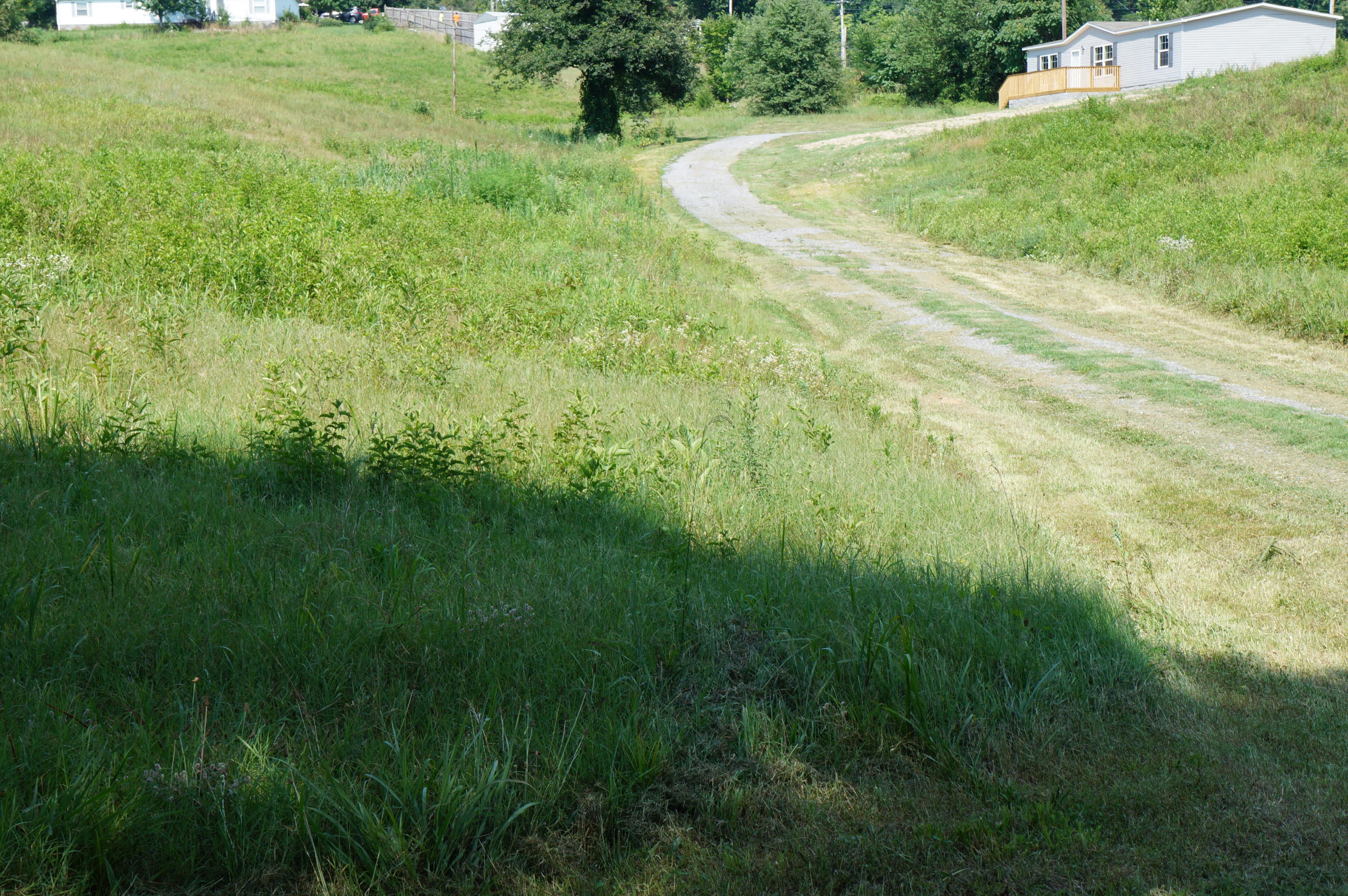 268 Mary's Chapel Road Bean Station, TN 37708 - Photo 3 of 30 DSC08732