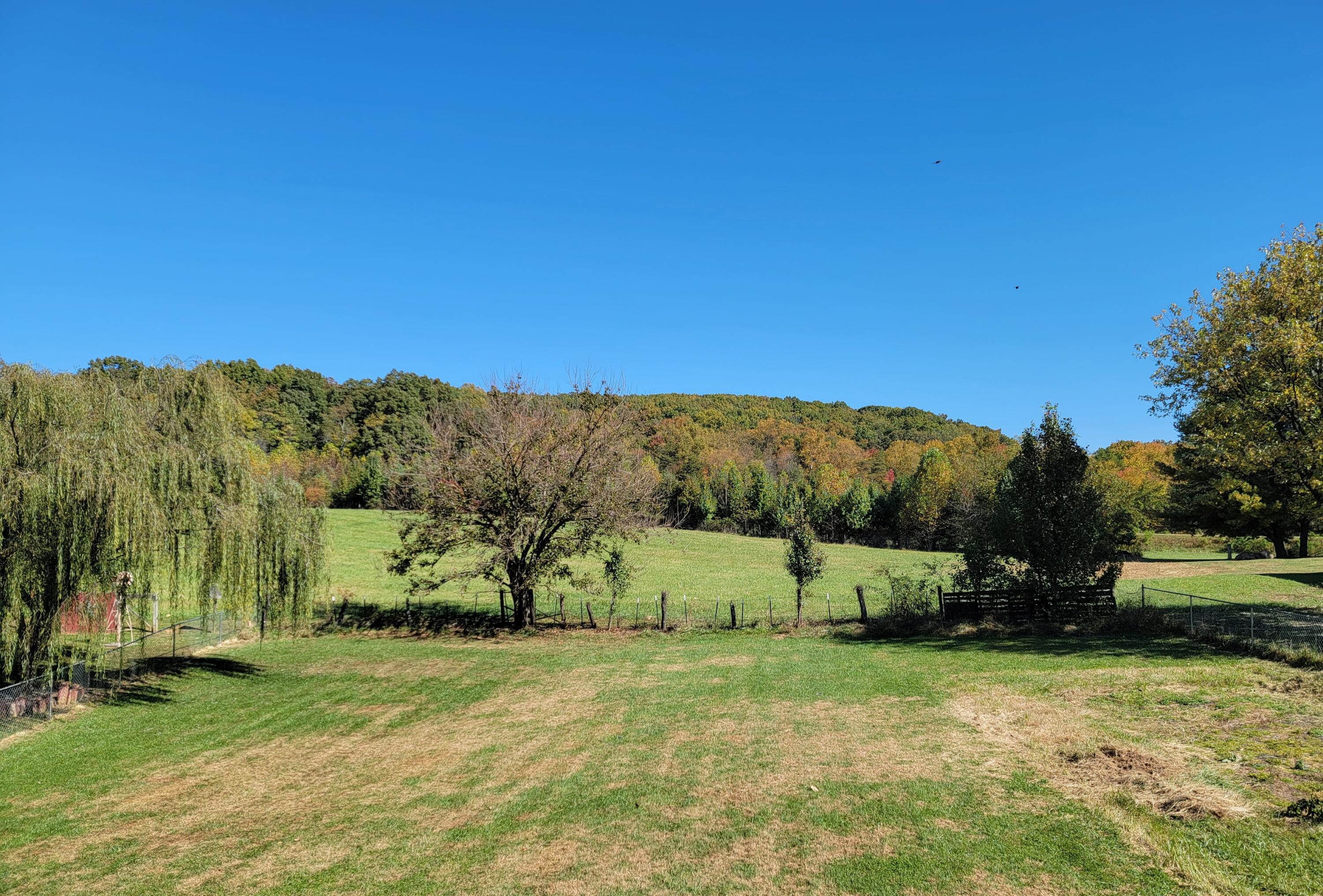 2386 Feather Road Vinton, VA 24179 - Photo 12 of 45 Back Yard View
