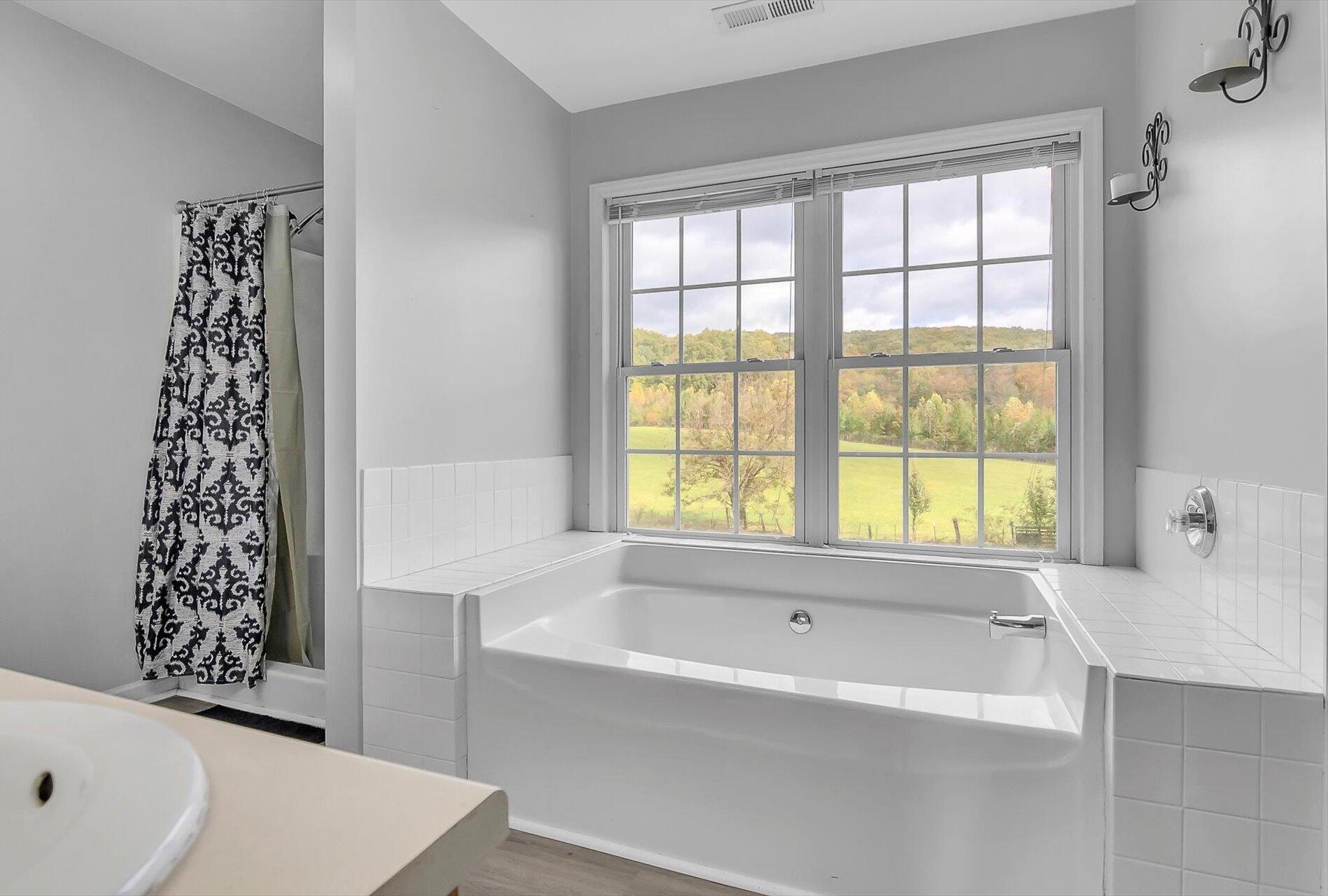 2386 Feather Road Vinton, VA 24179 - Photo 23 of 45 Primary BR Bath