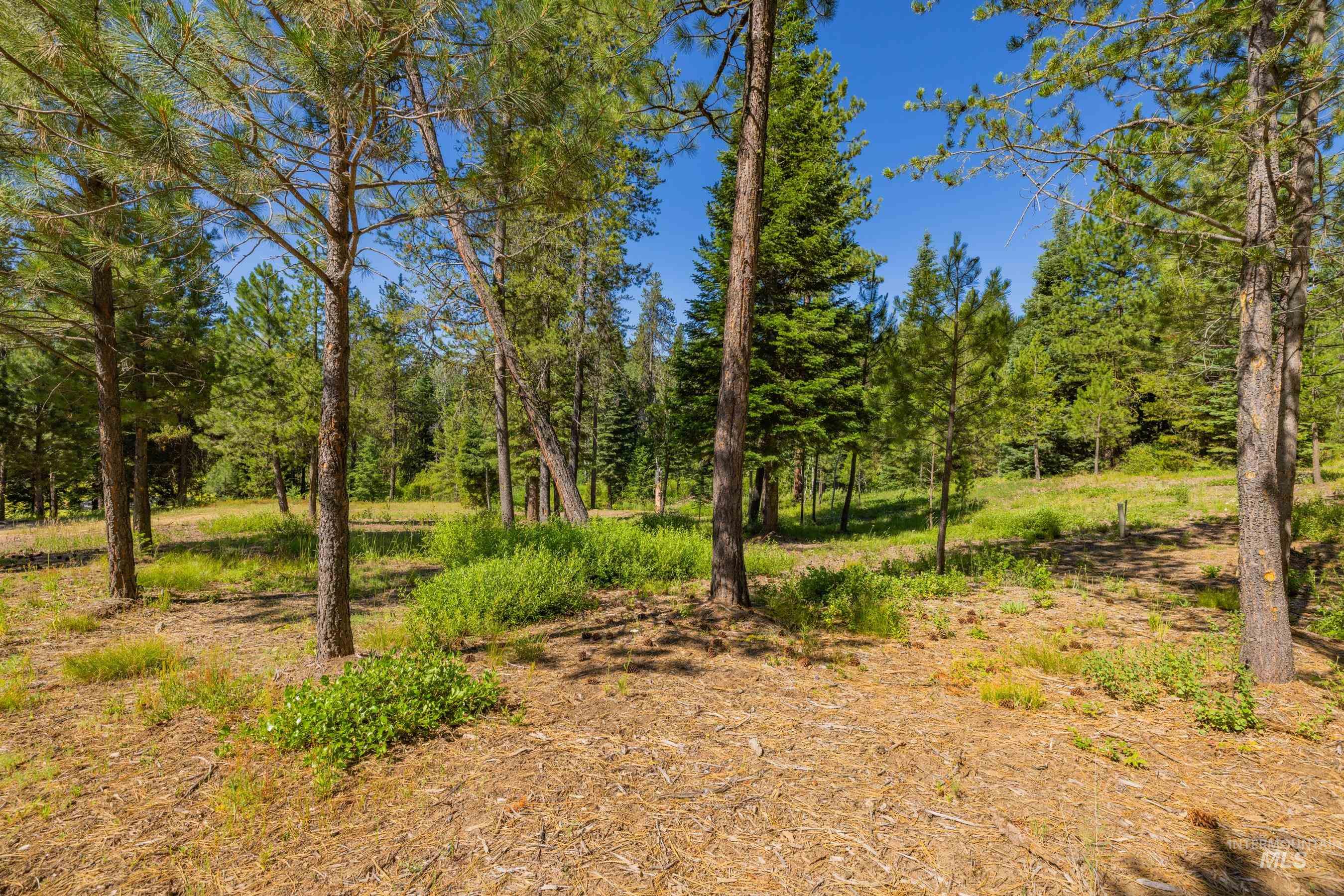 151 Timber Haven Place Cascade, ID 83611 - Photo 37 of 41