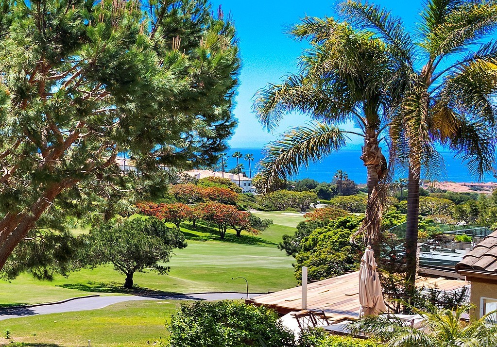 14 Marquesa Dana Point, CA 92629 - Photo 2 of 6 a view of a yard with plants and palm trees