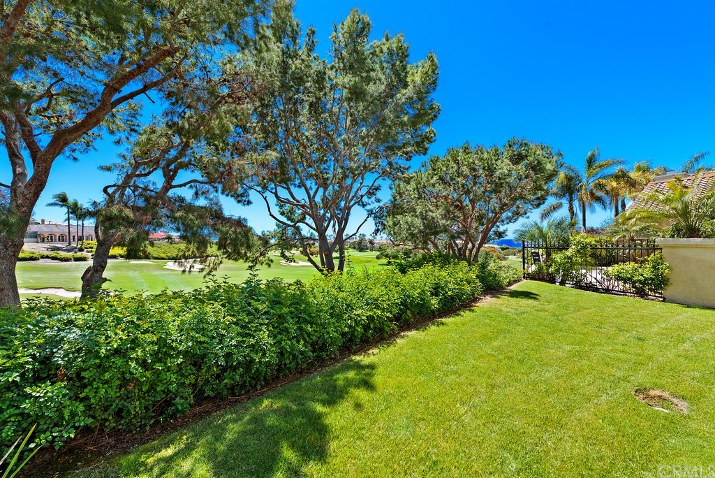 14 Marquesa Dana Point, CA 92629 - Photo 5 of 6 a view of a yard with a tree