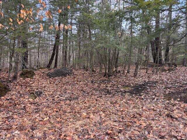 Lot 4 Desert Pond Rd Mount Mount Vernon, ME 04352 - Photo 2 of 5
