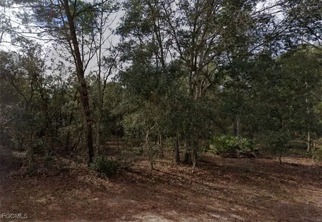 $6,800 | 917 David Avenue, Interlachen, FL 32148