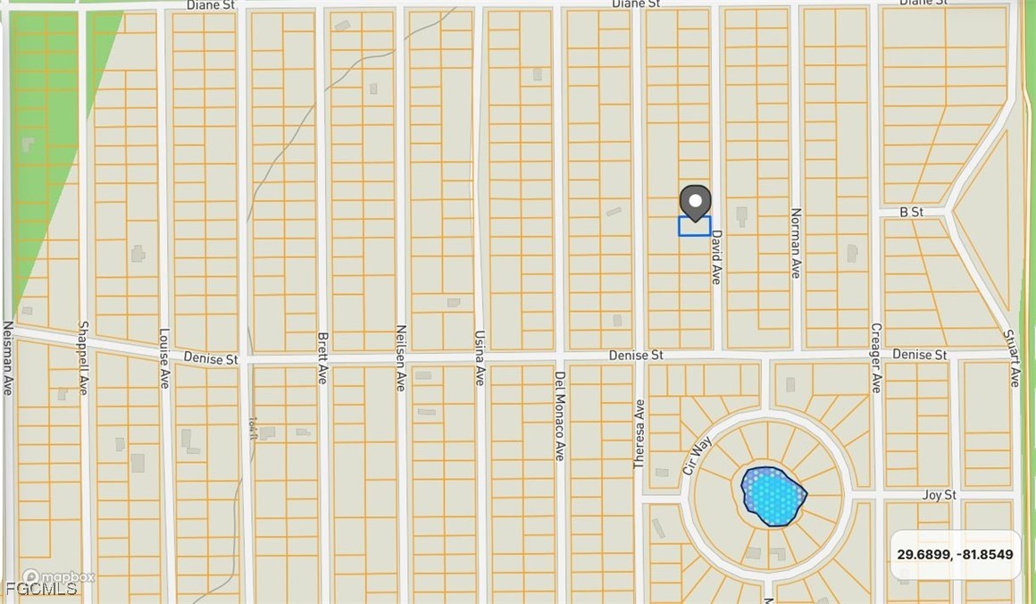 917 David Avenue Interlachen, FL 32148 - Photo 3 of 8