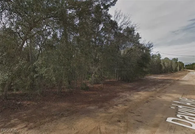 $6,800 | 917 David Avenue, Interlachen, FL 32148