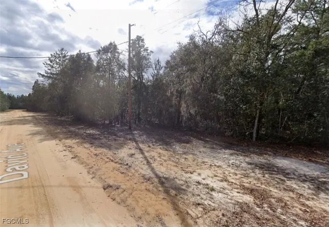 $6,800 | 917 David Avenue, Interlachen, FL 32148