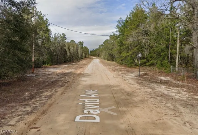 $6,800 | 917 David Avenue, Interlachen, FL 32148