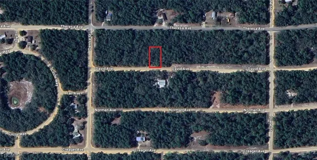 $6,800 | 917 David Avenue, Interlachen, FL 32148