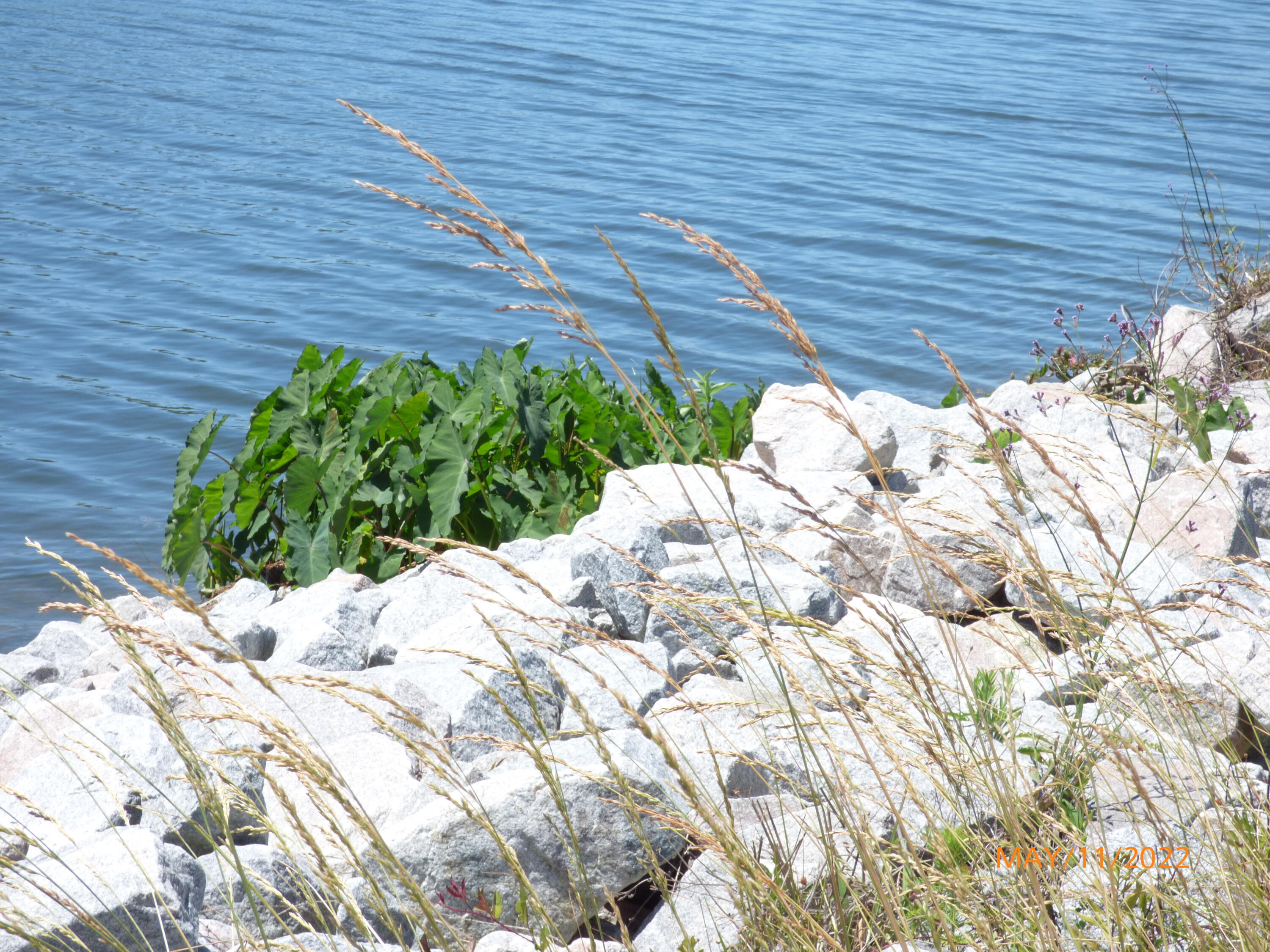 35 Highway 1 Ogunquit, ME 03907 - Photo 6 of 10 2022-05-11 12.01.04