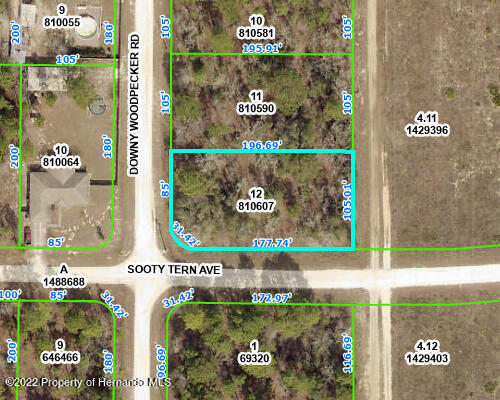 13500 Downy Woodpecker Road Weeki Wachee, FL 34614 - Photo 15 of 28