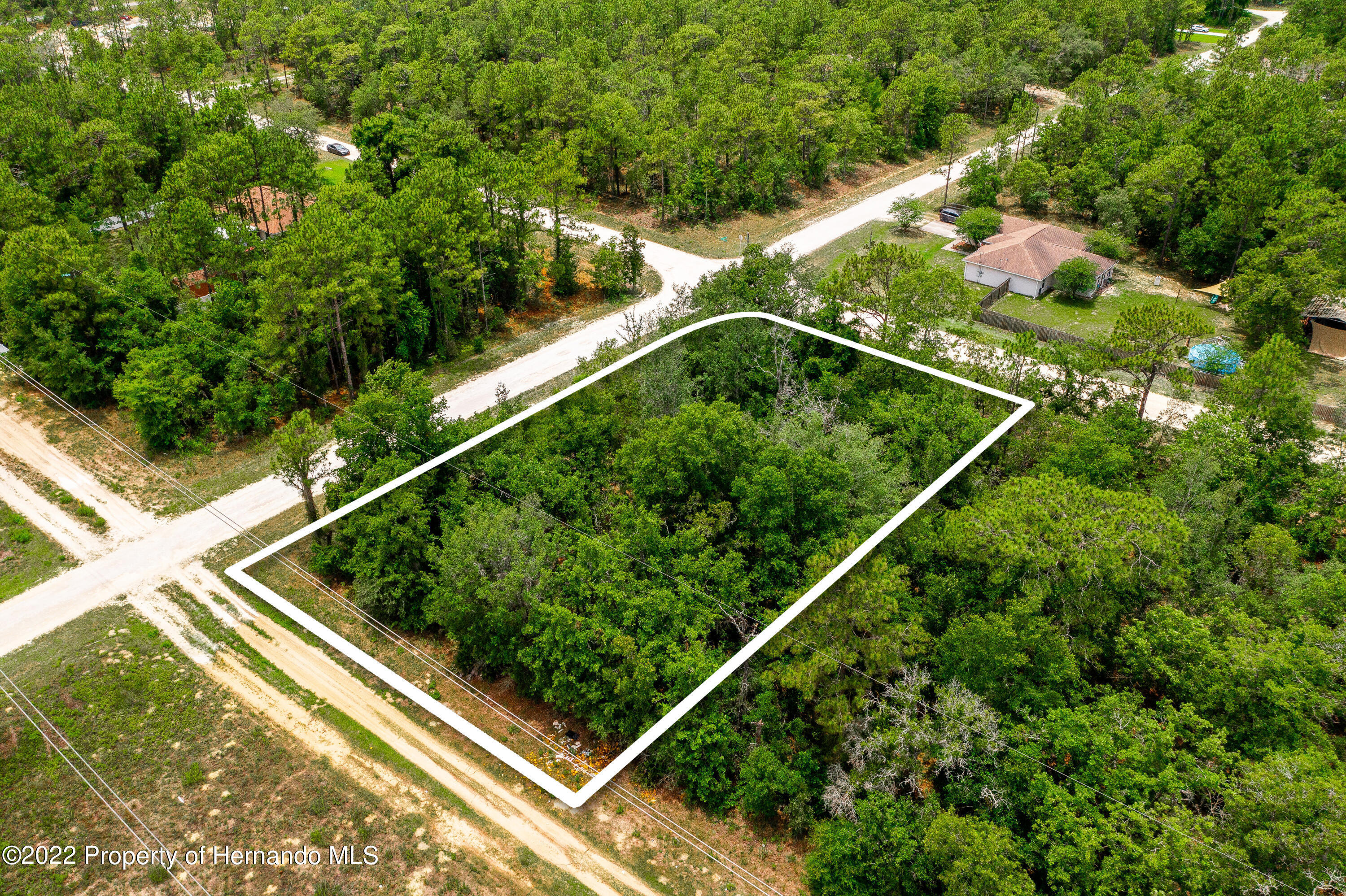 13500 Downy Woodpecker Road Weeki Wachee, FL 34614 - Photo 20 of 28 a backyard of a house with lots of green space and plants