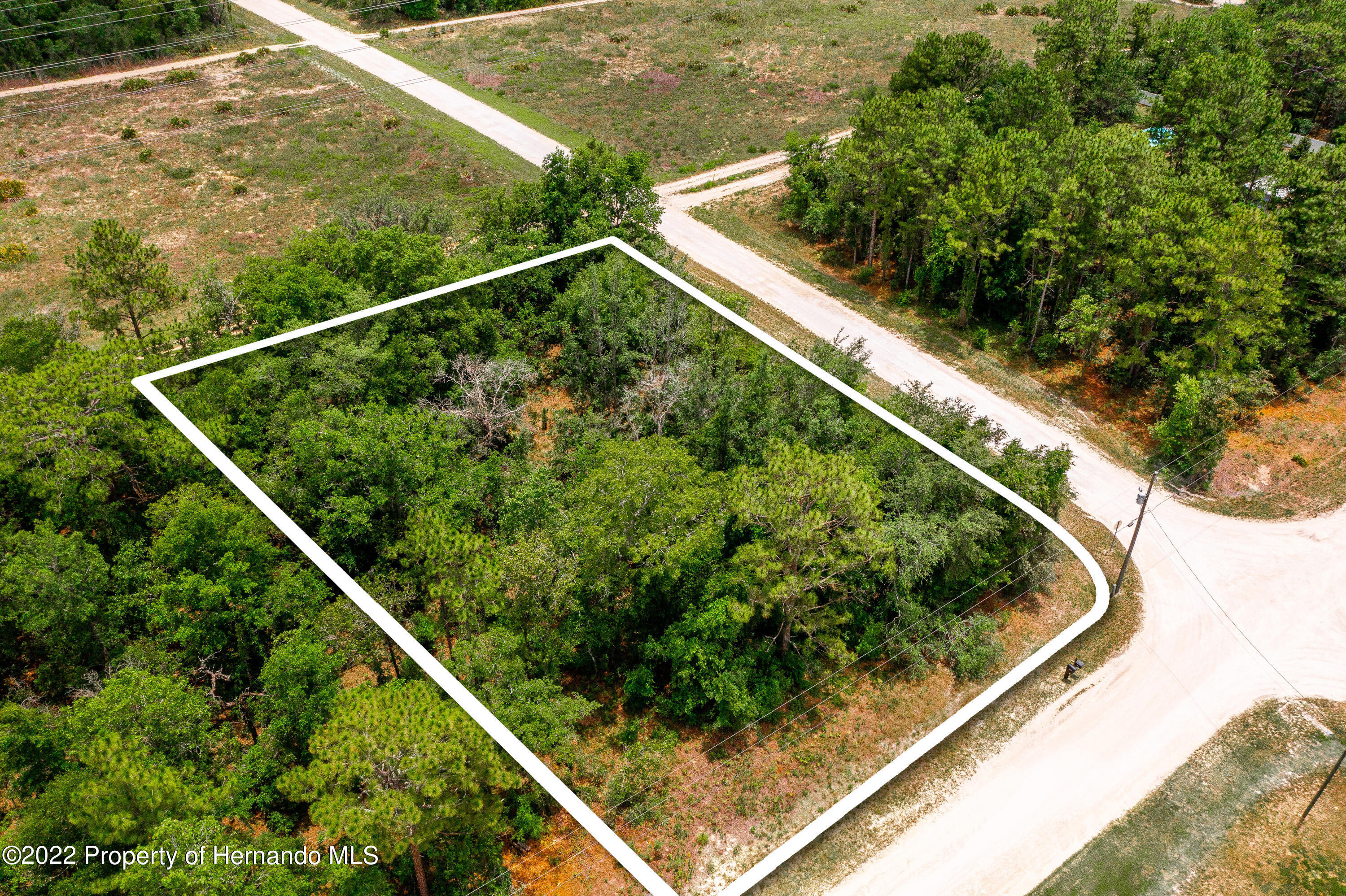 13500 Downy Woodpecker Road Weeki Wachee, FL 34614 - Photo 22 of 28 a view of a yard from a balcony