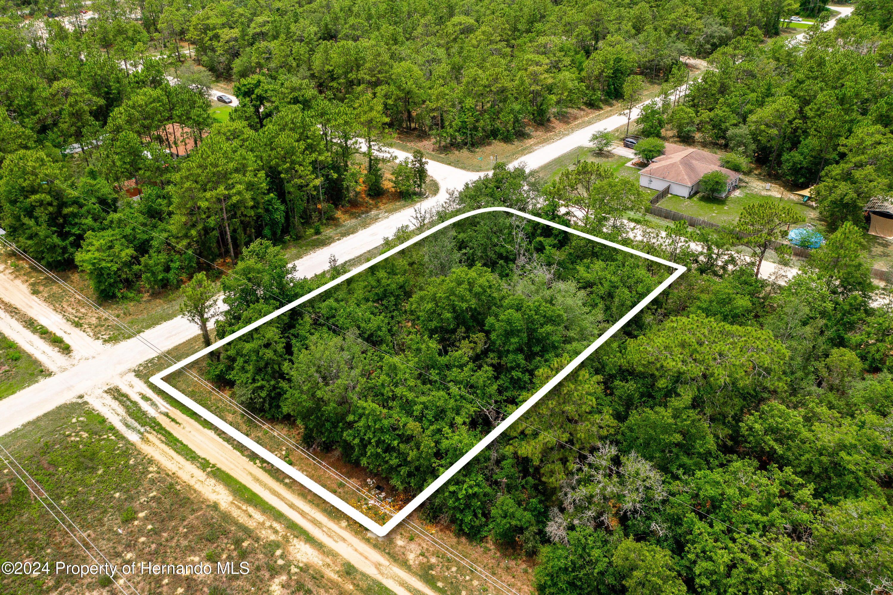 13500 Downy Woodpecker Road Weeki Wachee, FL 34614 - Photo 26 of 28 a backyard of a house with lots of green space and plants