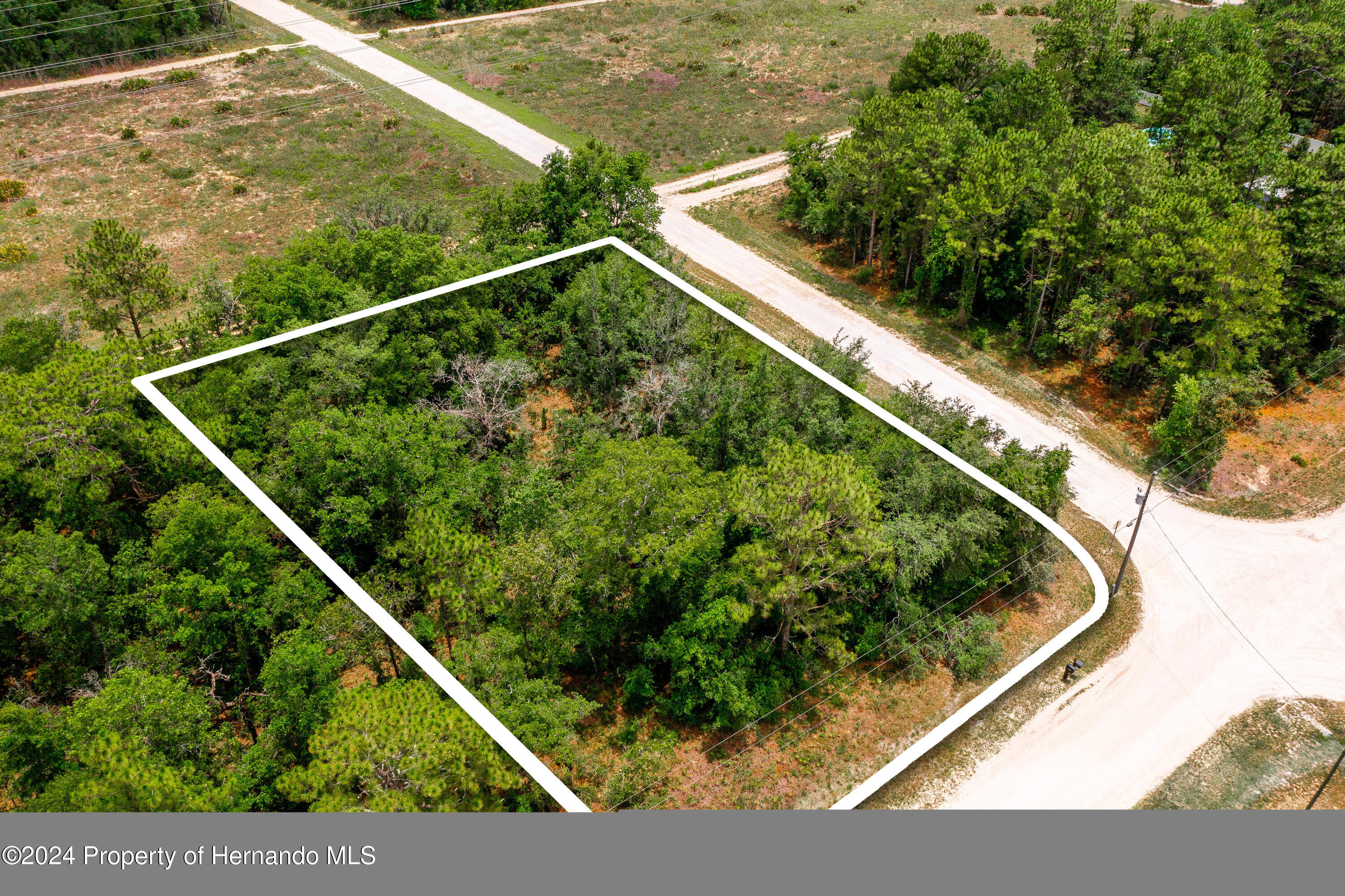 13500 Downy Woodpecker Road Weeki Wachee, FL 34614 - Photo 28 of 28 a view of swimming pool from a balcony