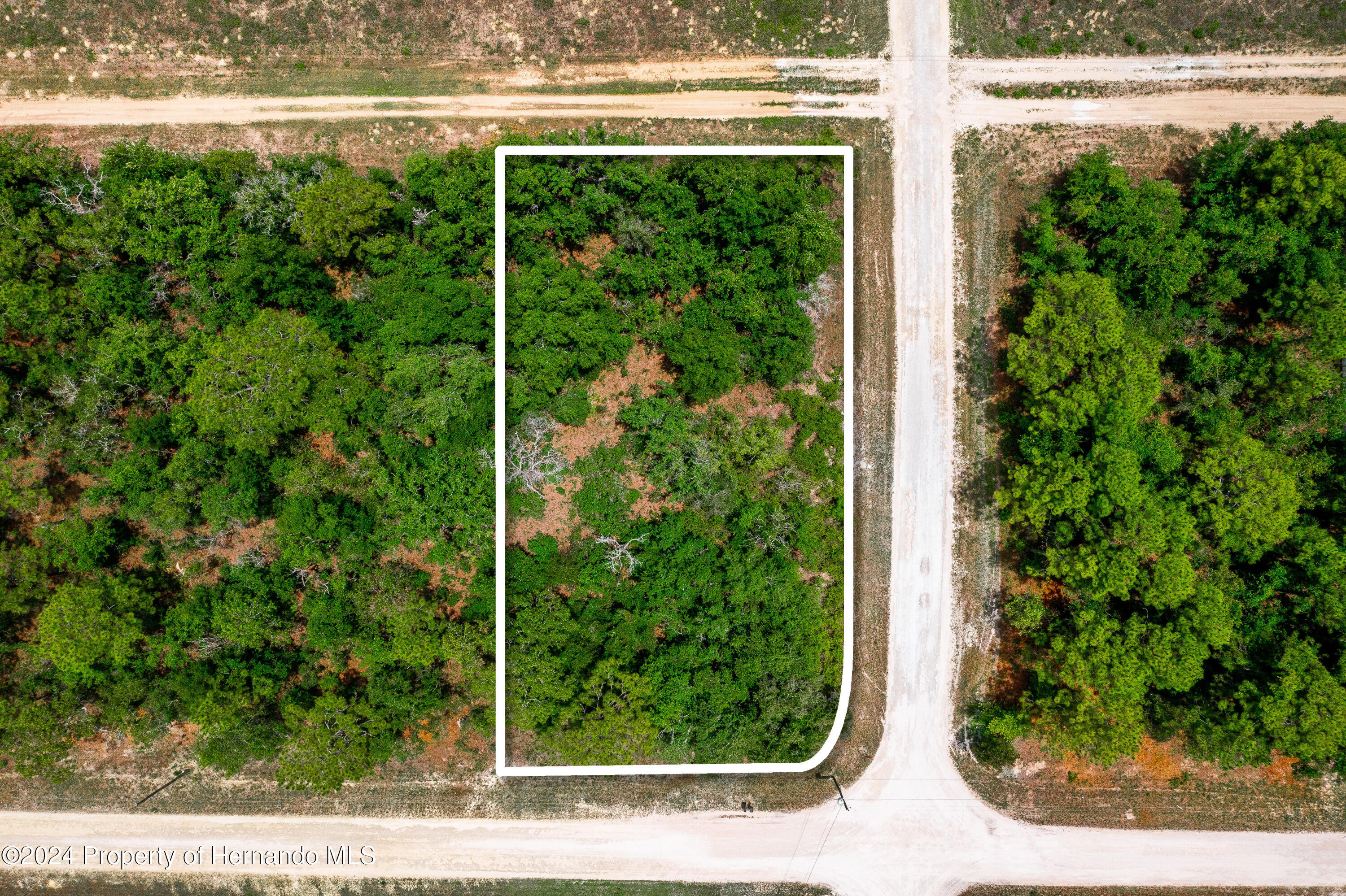 13500 Downy Woodpecker Road Weeki Wachee, FL 34614 - Photo 3 of 28 a view of a yard from a window