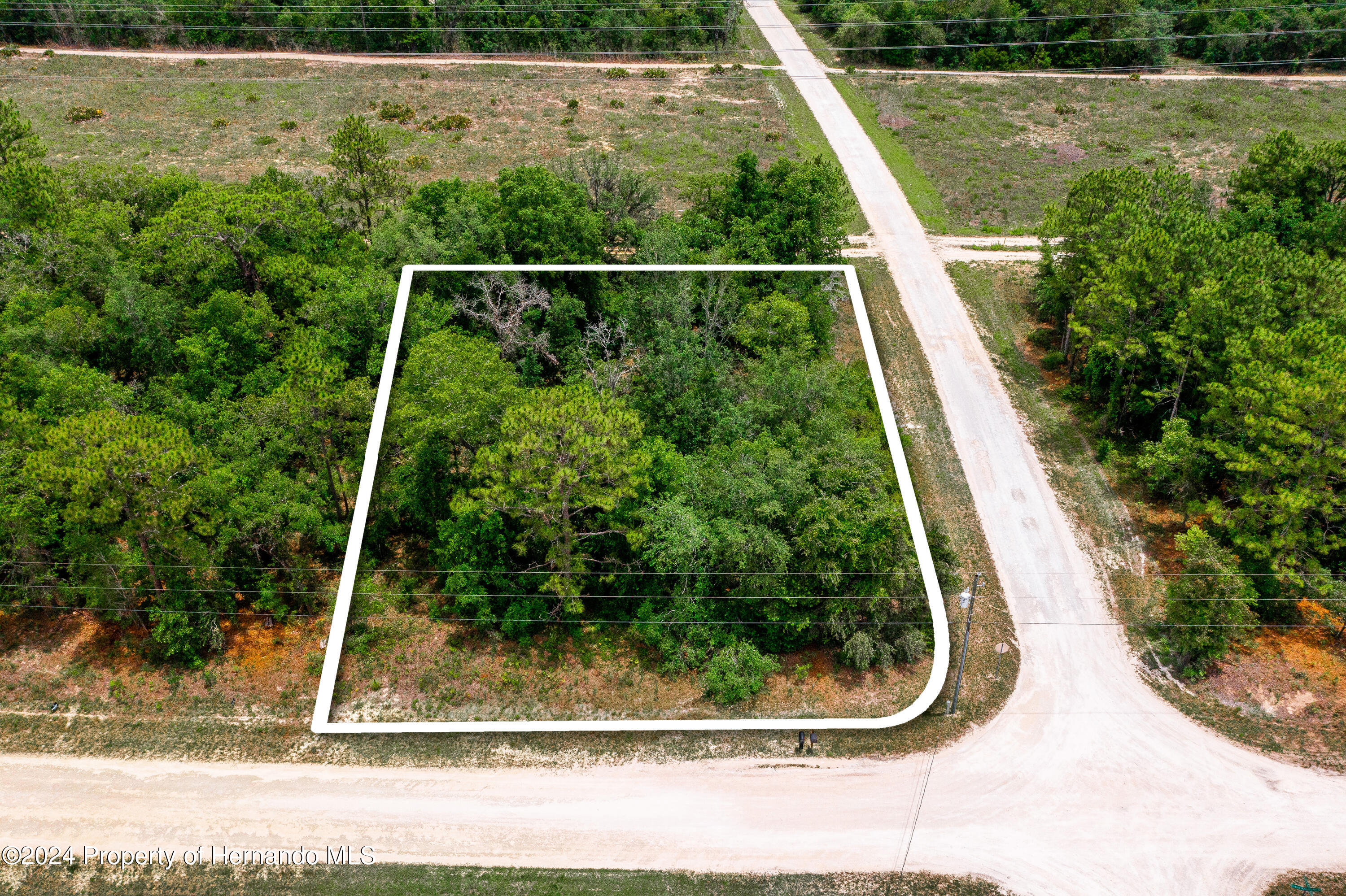 13500 Downy Woodpecker Road Weeki Wachee, FL 34614 - Photo 4 of 28 a view of a yard with potted plants