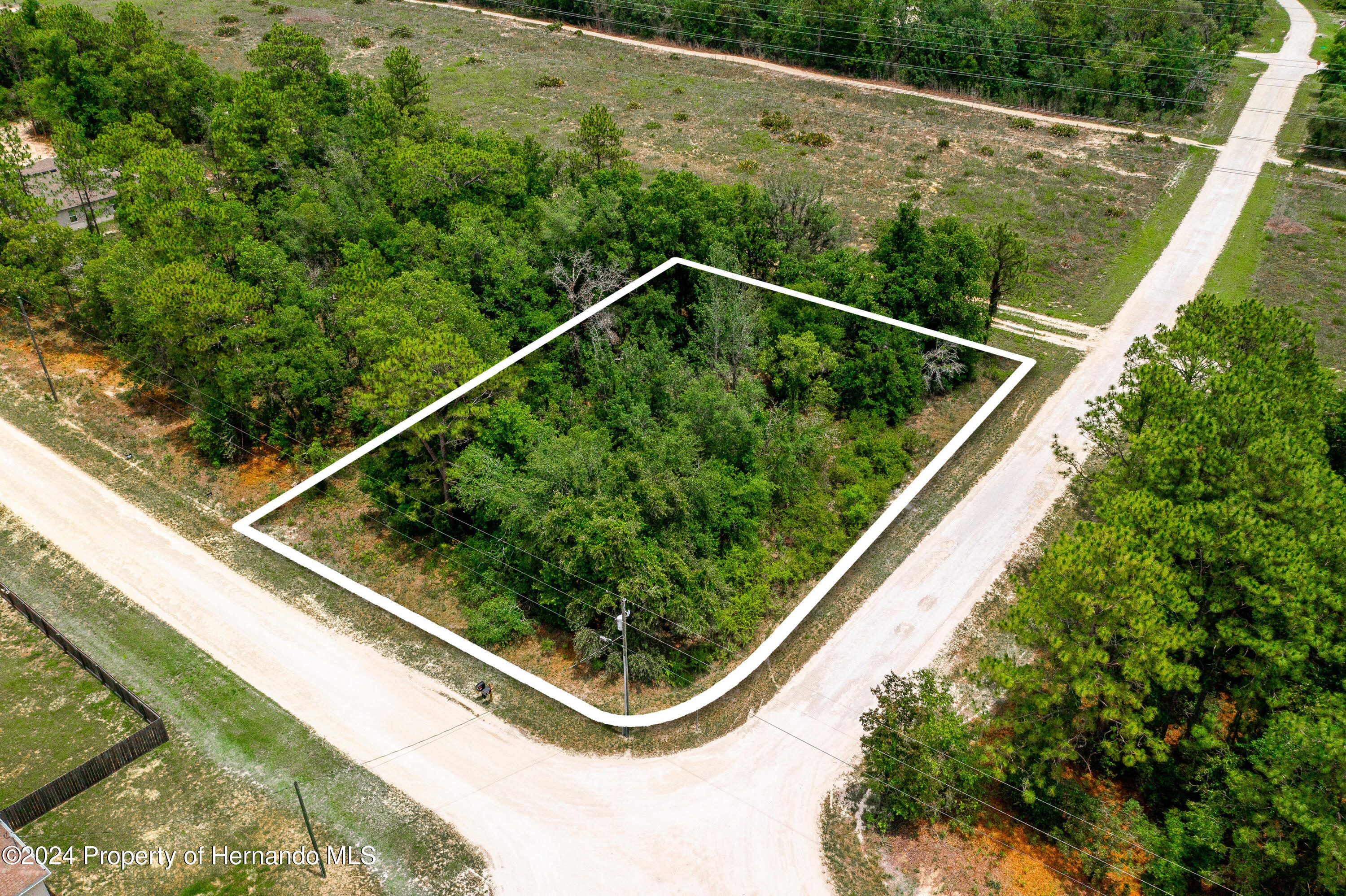 13500 Downy Woodpecker Road Weeki Wachee, FL 34614 - Photo 5 of 28 a view of a floor to ceiling window and potted plant