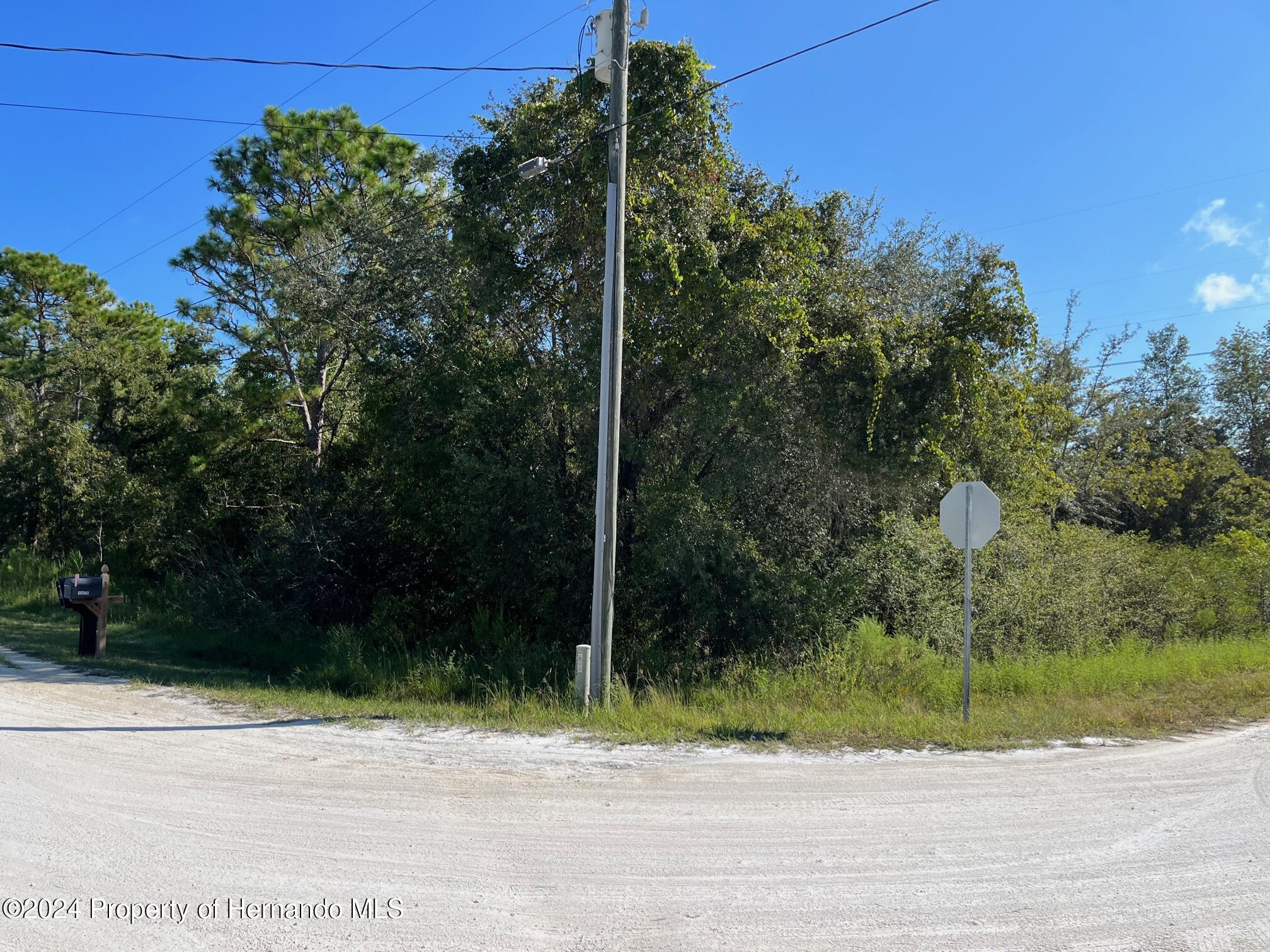 13500 Downy Woodpecker Road Weeki Wachee, FL 34614 - Photo 8 of 28 a view of a street