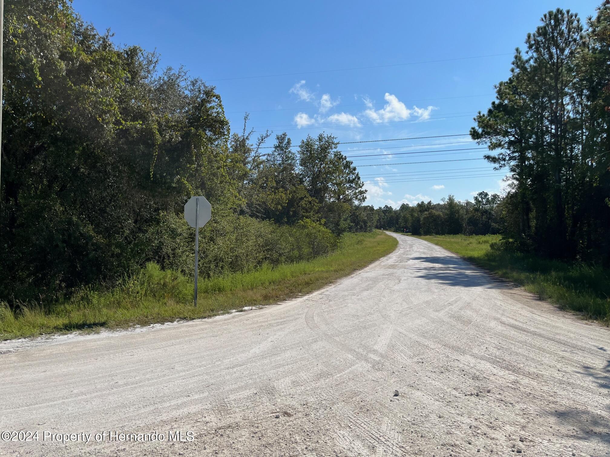 13500 Downy Woodpecker Road Weeki Wachee, FL 34614 - Photo 9 of 28 a view of a street view