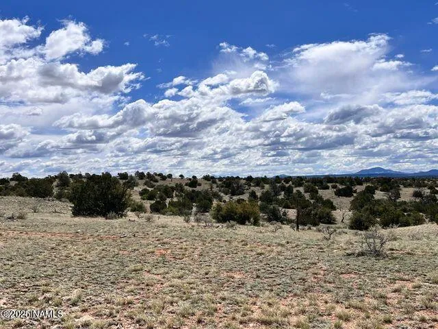 a view of outdoor space with mountain view