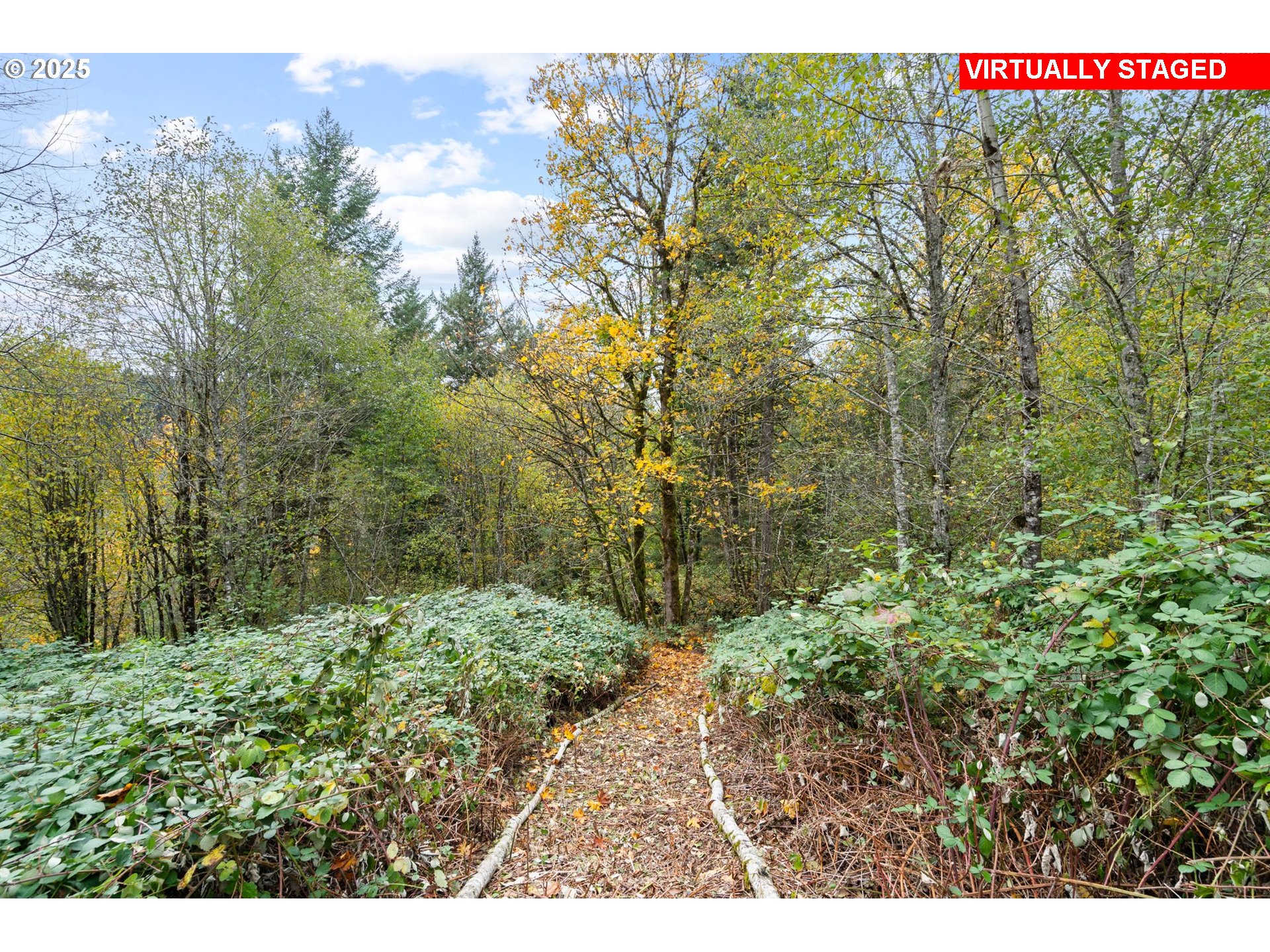 101 Carleton Road Washougal, WA 98671 - Photo 40 of 43 Gallery Image 40