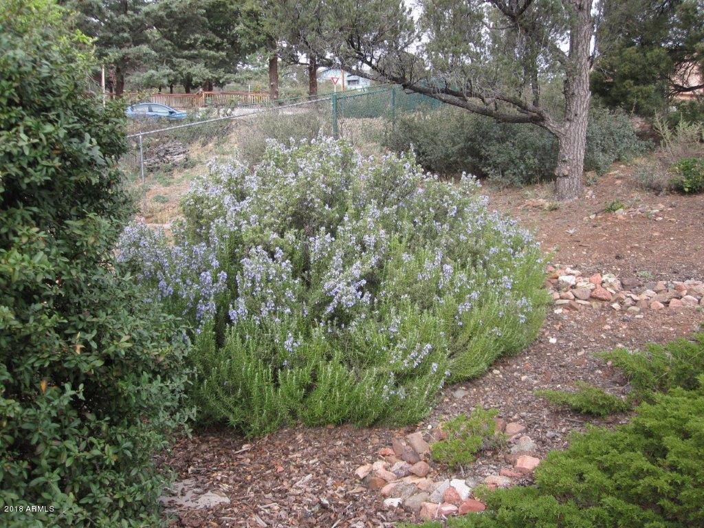 2479 Ridge Road Prescott, AZ 86301 - Photo 32 of 35 Rosemary