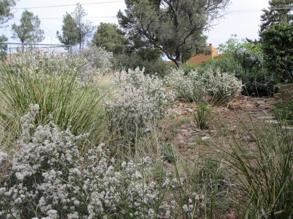 2479 Ridge Road Prescott, AZ 86301 - Photo 33 of 35 Side yard in bloom